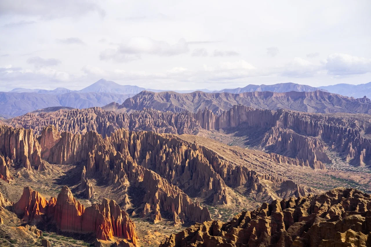 Food & Pharmaceutical Processing